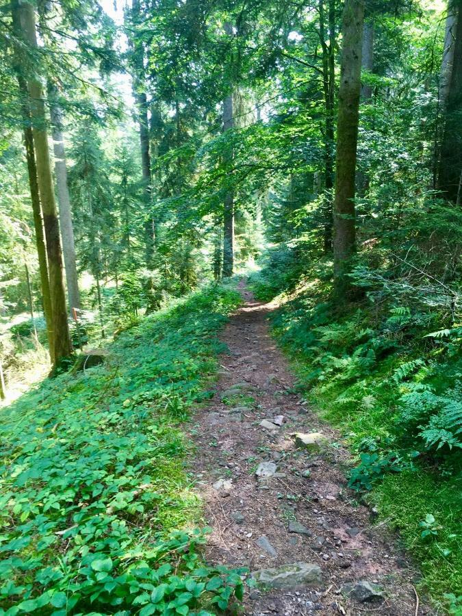 Blackforest
